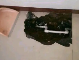 新兴卫生间测漏水多少钱