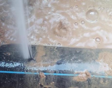 新兴卫生间防水哪家好